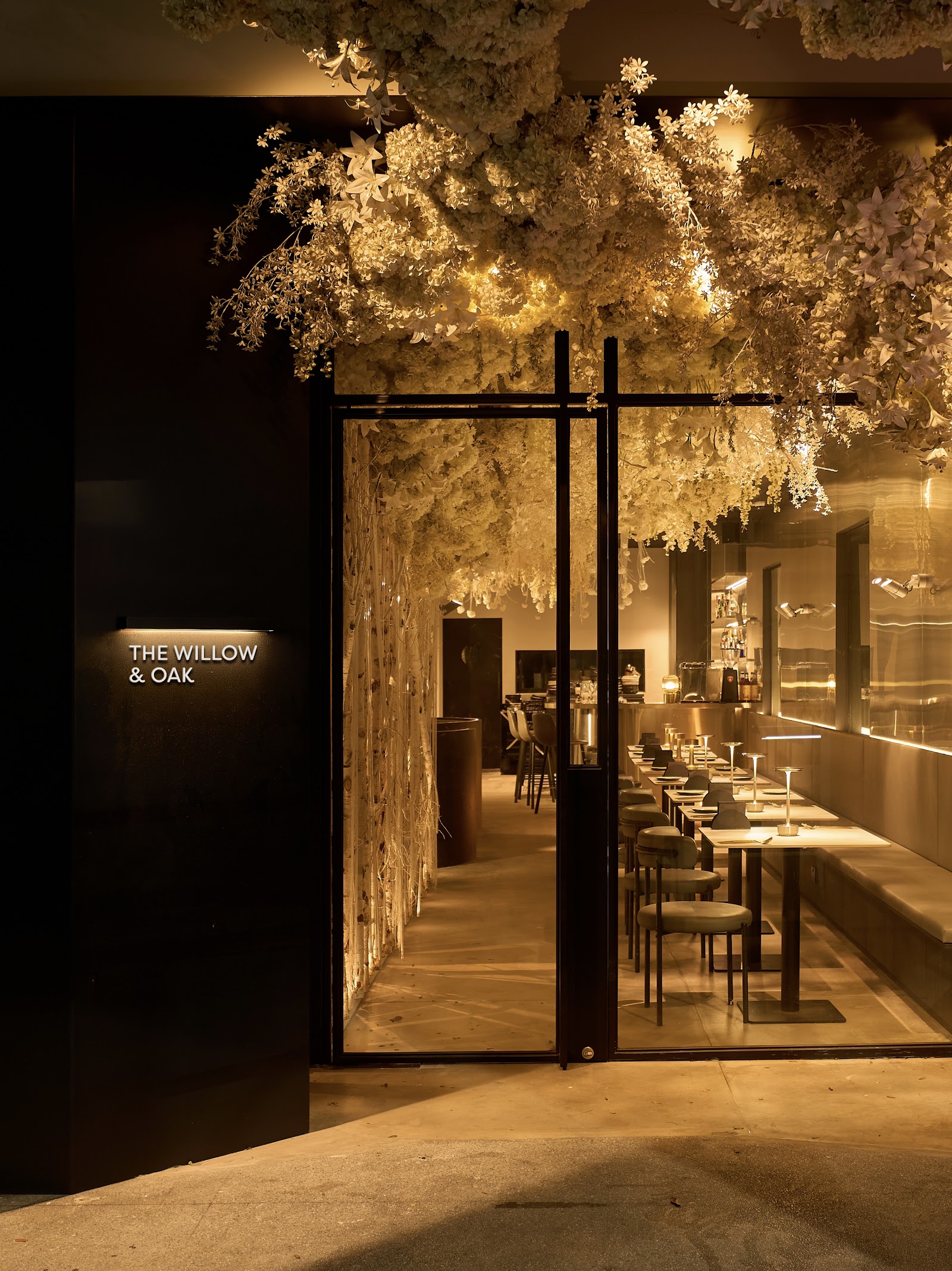 The Willow & Oak