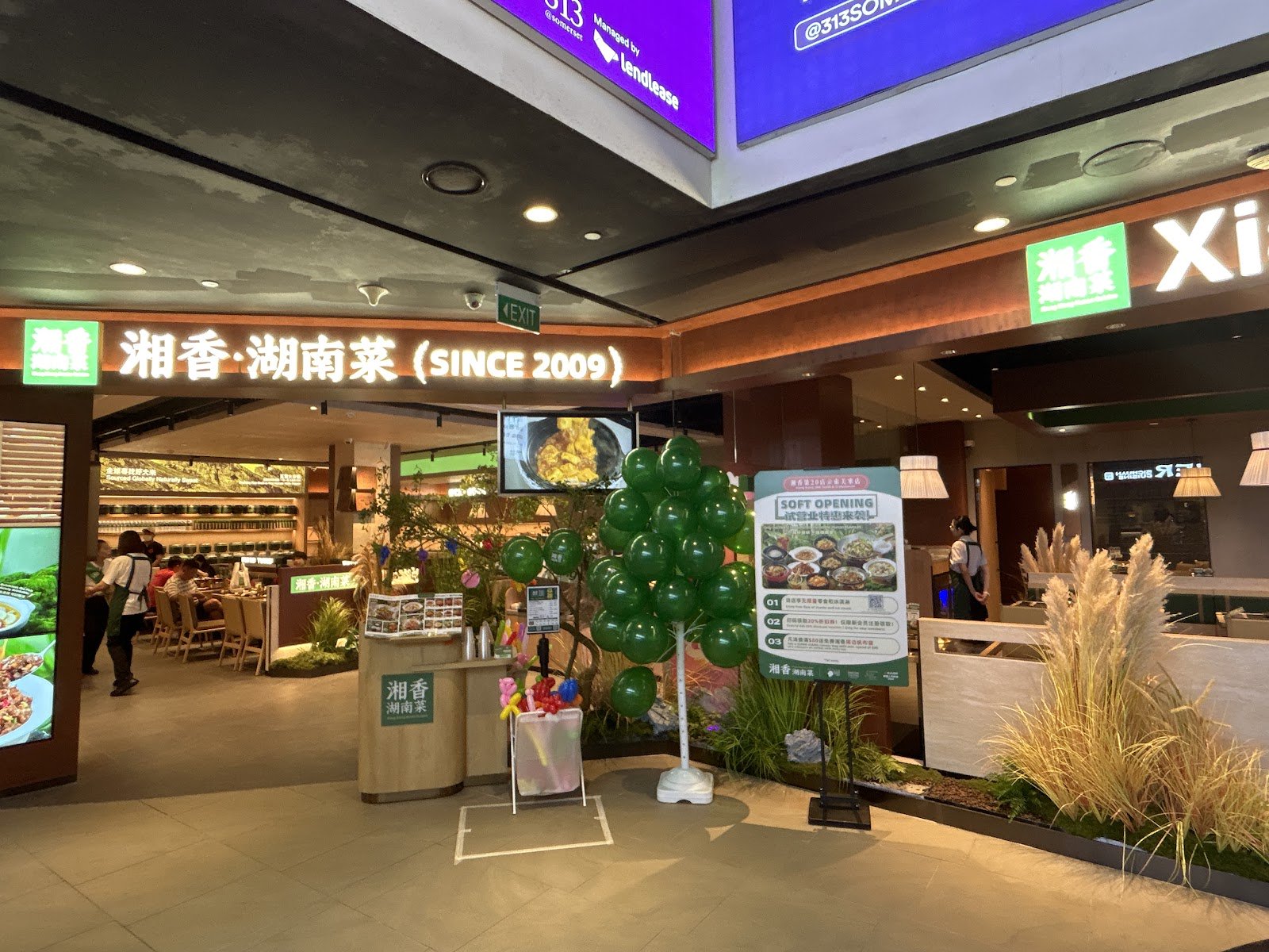 Xiang Xiang Hunan Cuisine 湘香湖南菜 @ 313 Somerset