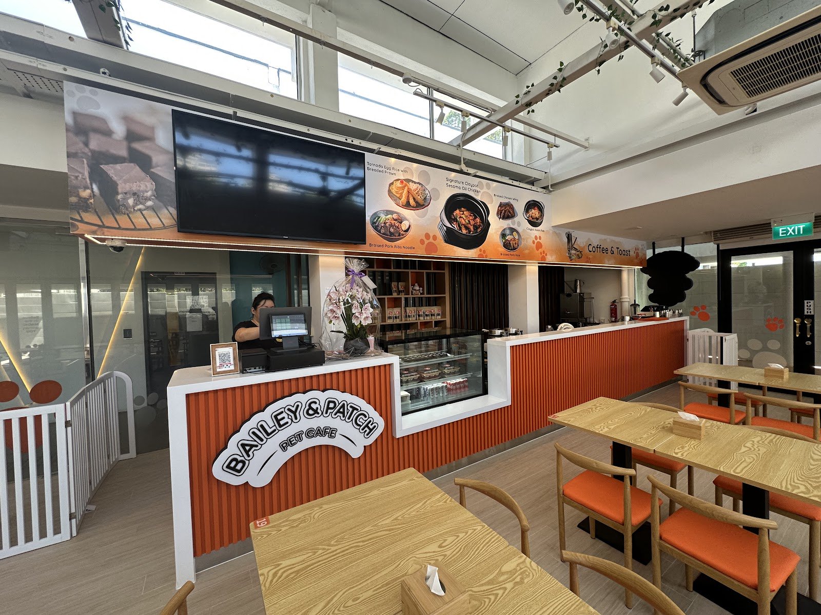 Bailey & Patch Pet Cafe photo 6