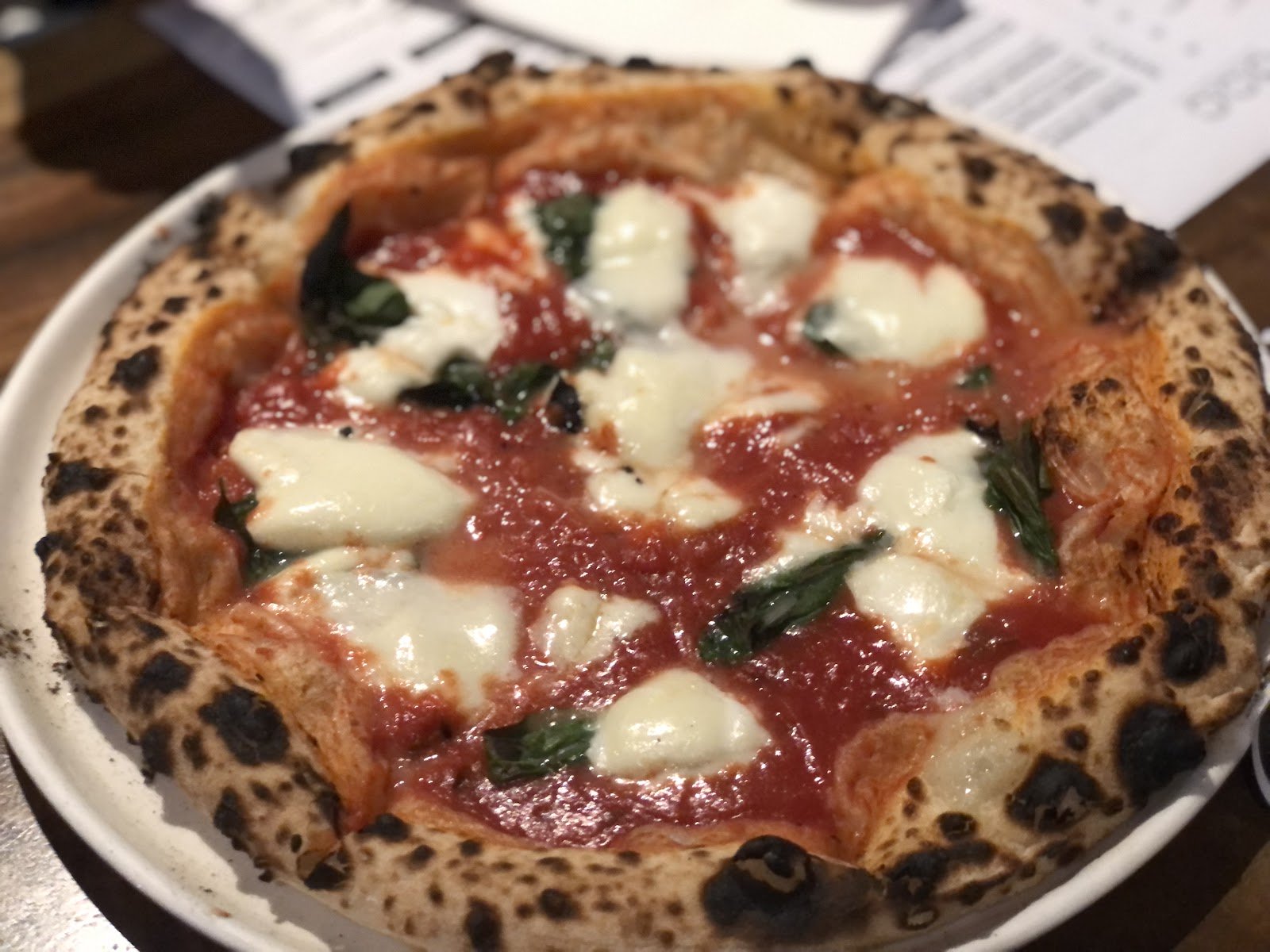 d.o.c Italian Restaurant photo 2
