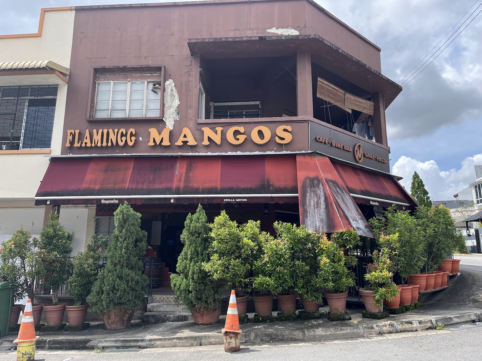 Flamingg Mangos