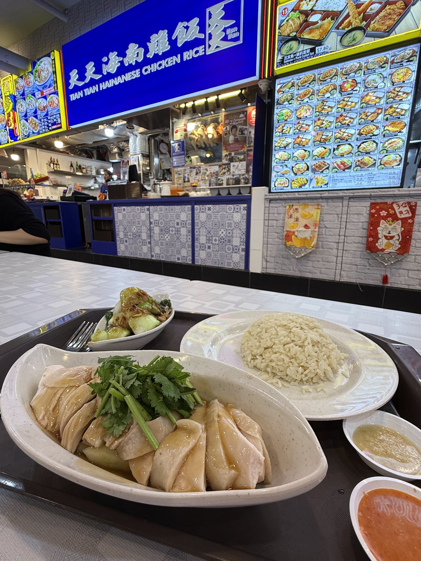 Tian Tian Hainanese Chicken Rice - Lucky Plaza photo 6