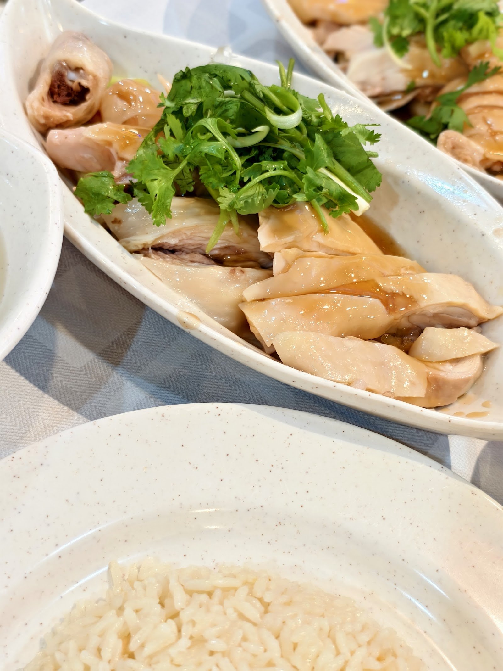 Tian Tian Hainanese Chicken Rice - Lucky Plaza photo 7