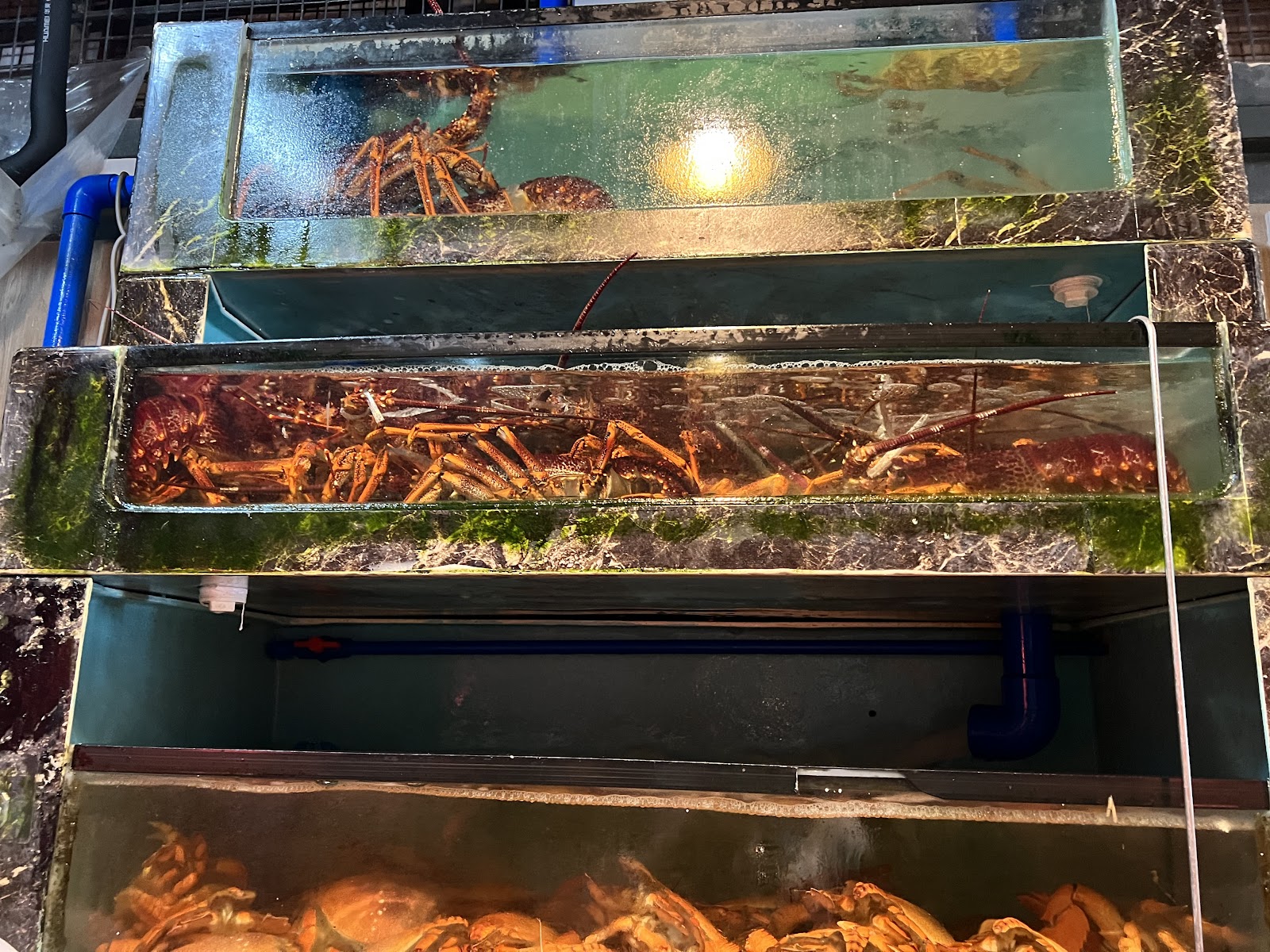 Oyster house @ Farrer Park