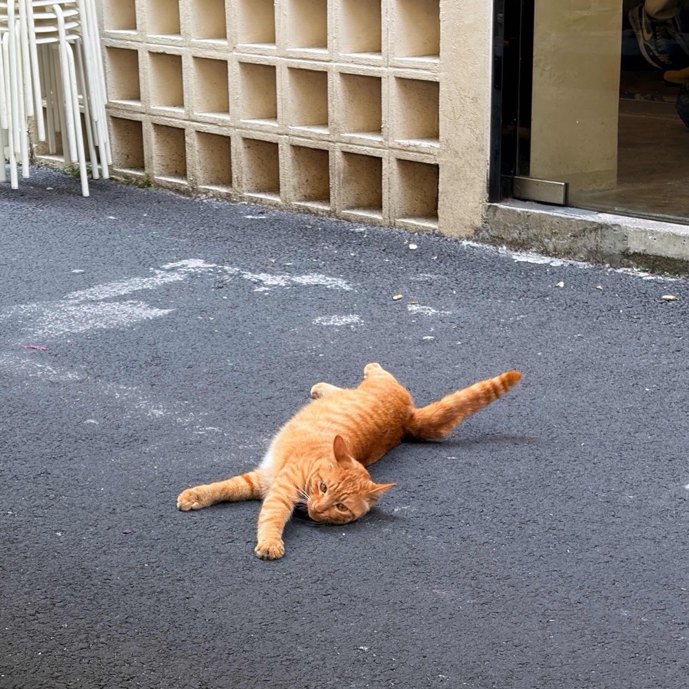 屋企樓下好大風